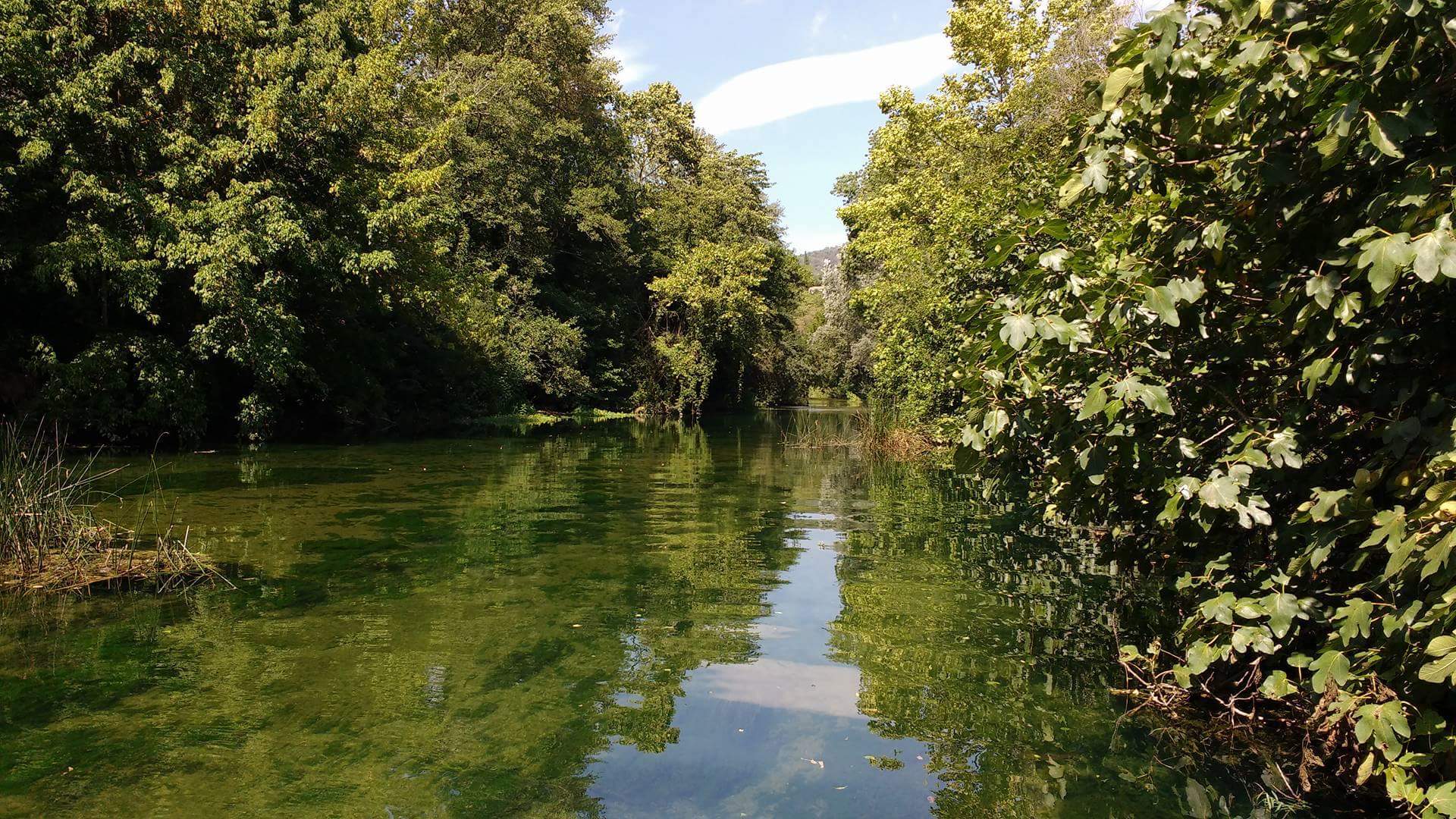 La Siagne dans sa partie calme